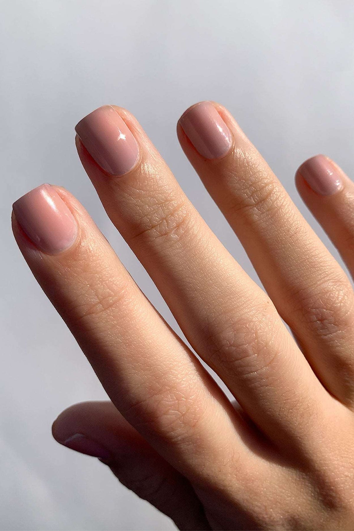 Georgette Color Georgette – Cirque Colors