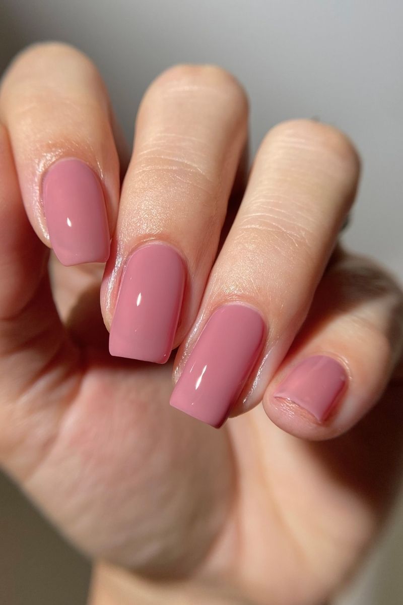 Daydream Collection Set