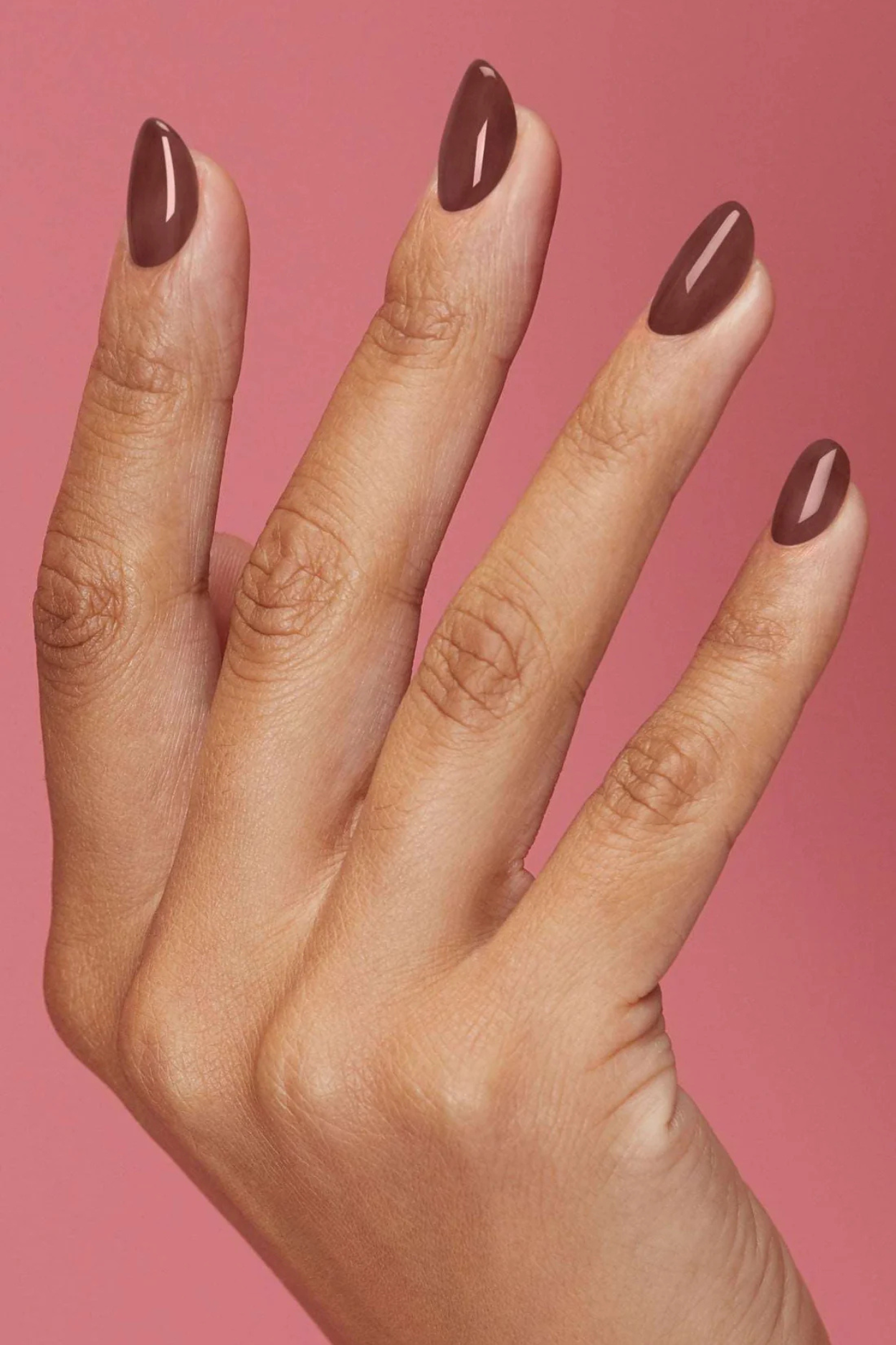 The New Neutrals Image