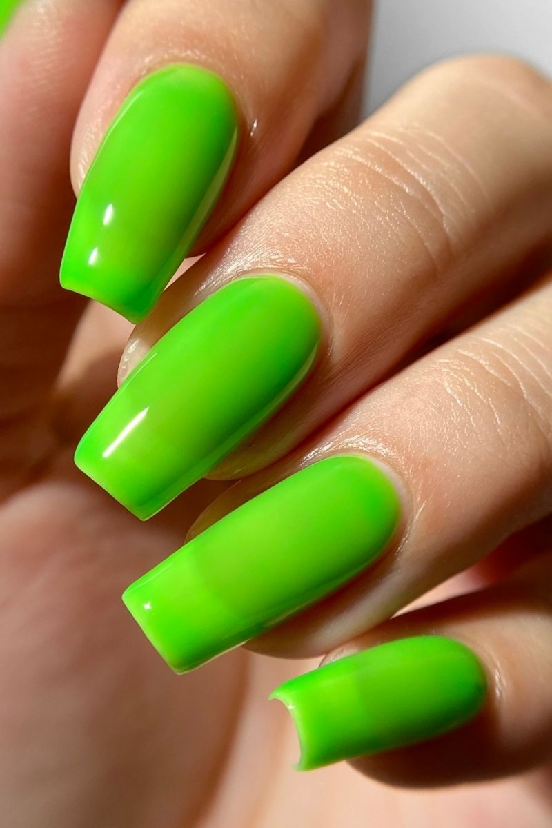 Dayglow Collection Set