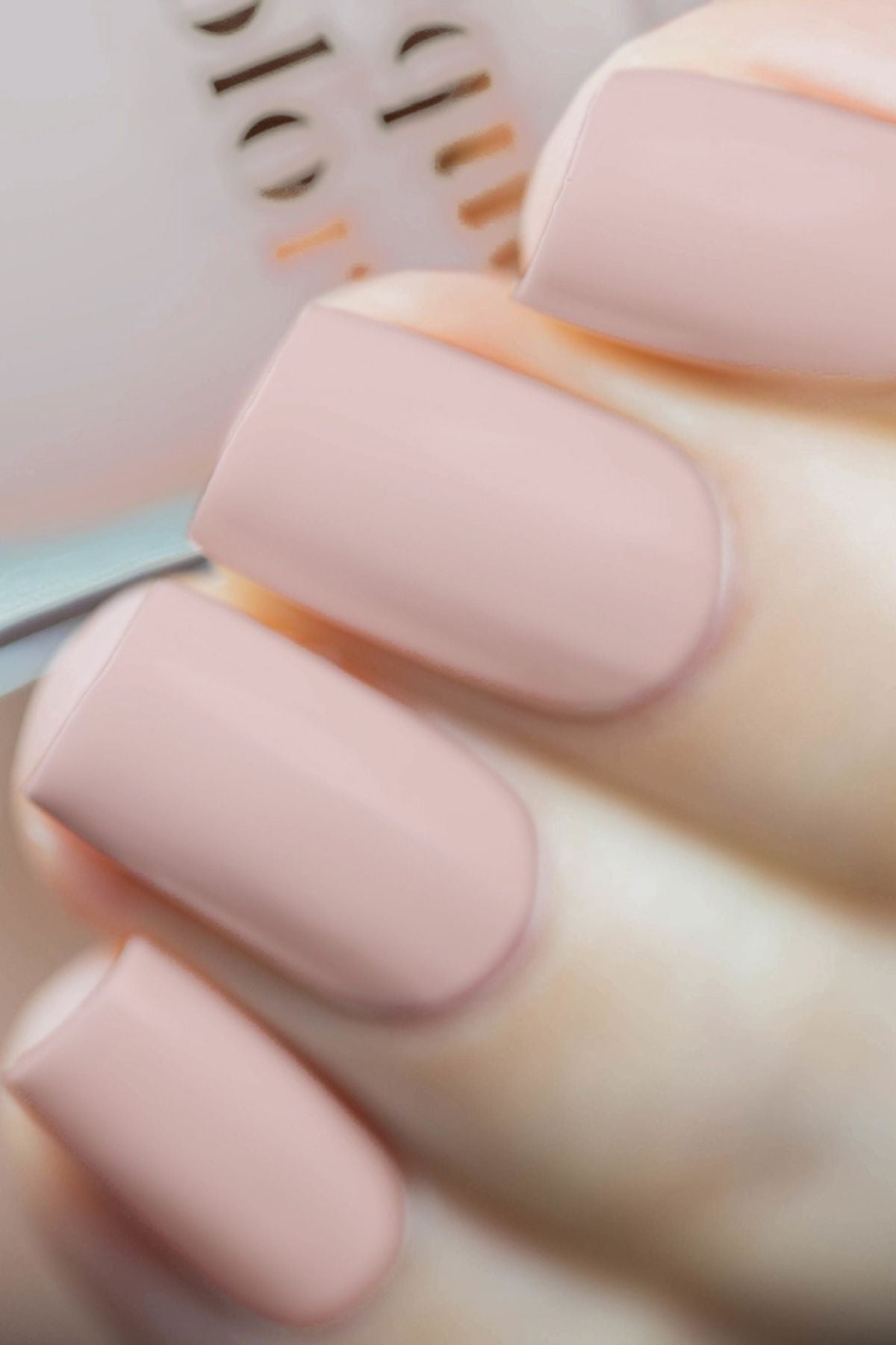 Don't Forget the Cannoli