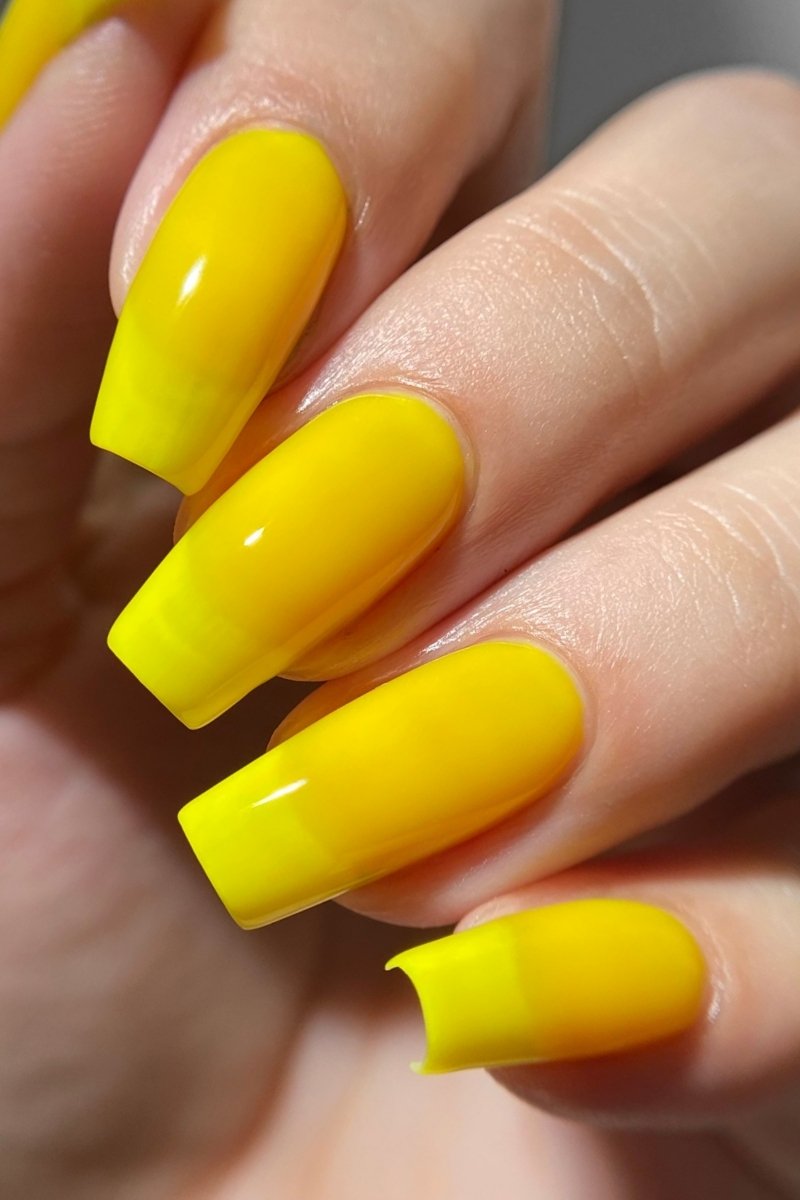 Sunshine Jelly