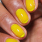 Sunshine Jelly