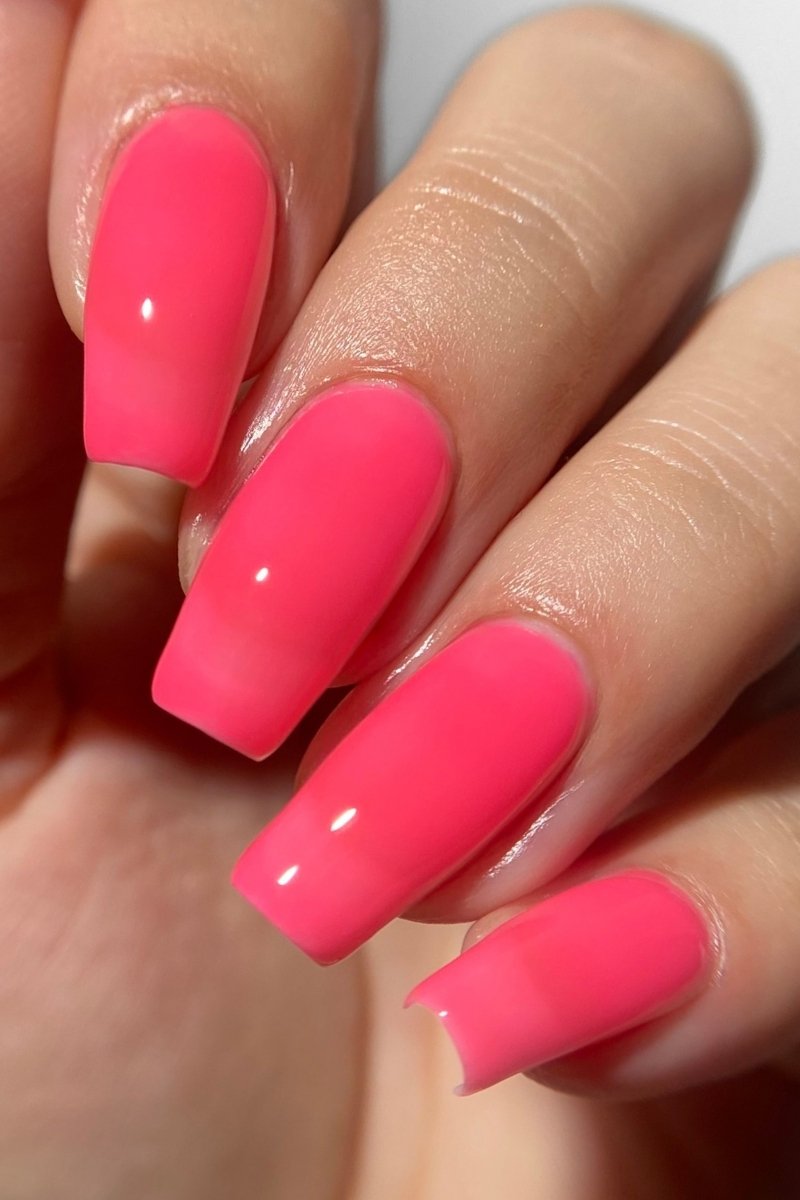 Watermelon Sugar Jelly