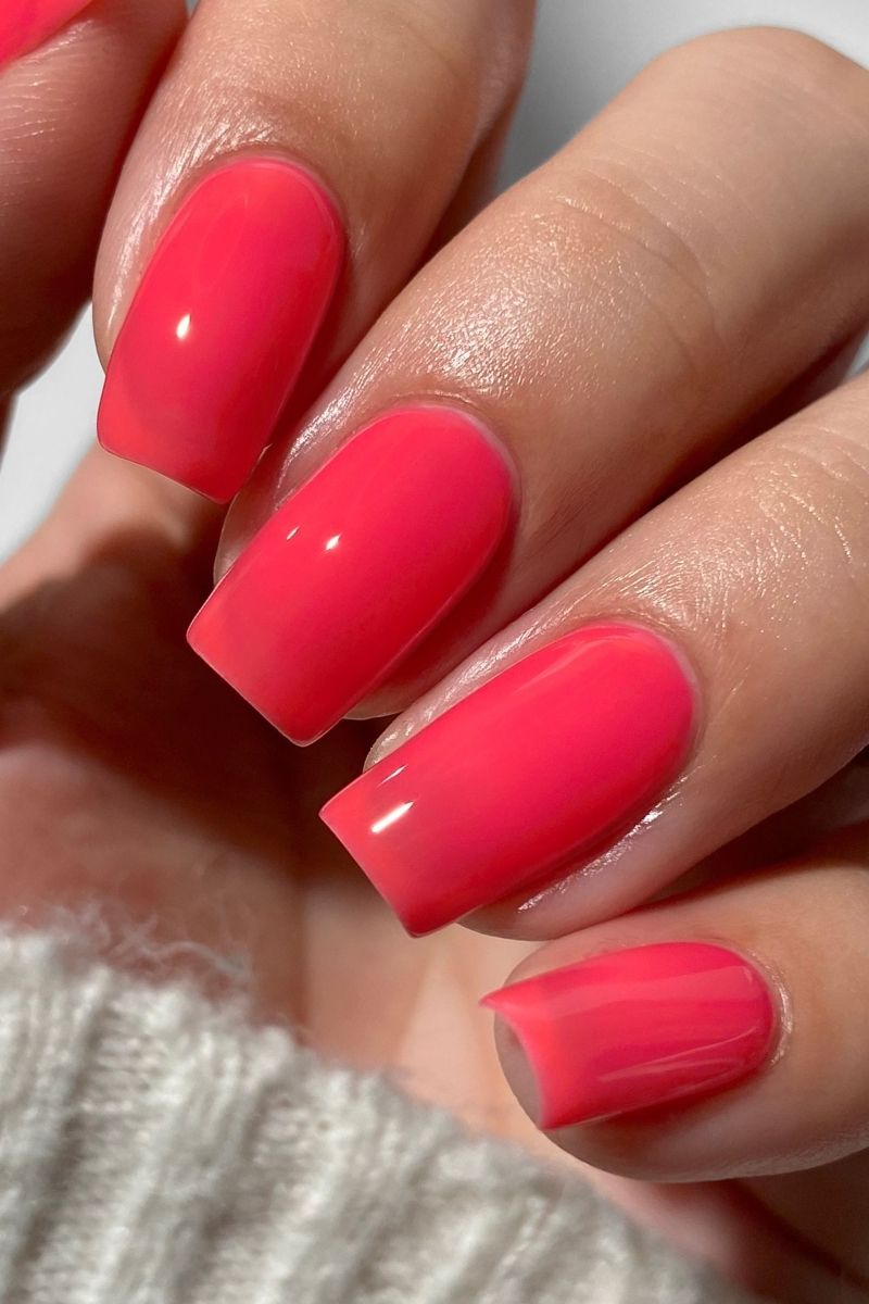 Jelly Nail Polish Set - Cirque Colors Glazed 2025 Collection Set