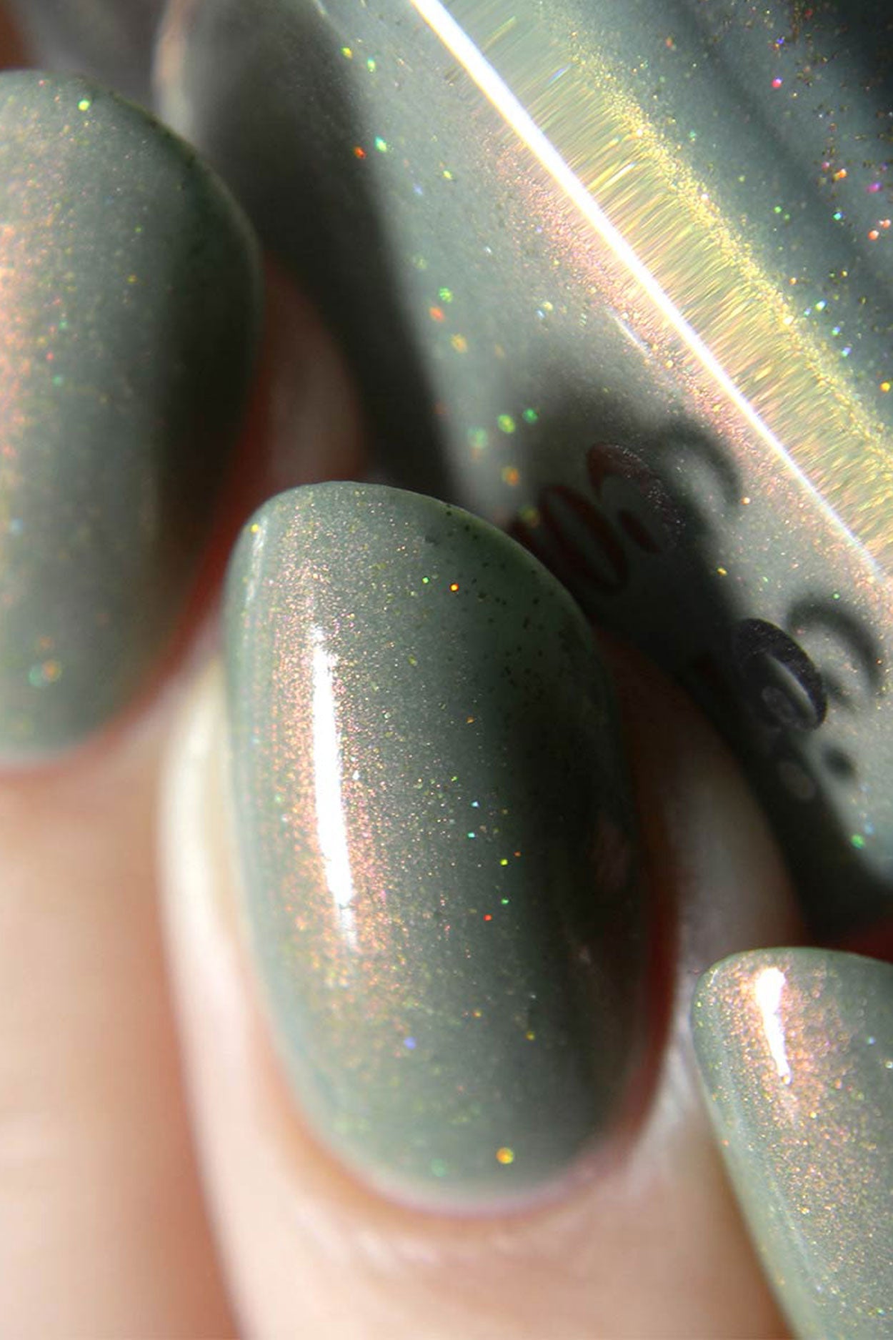 succulent fingernails Succulent Garden