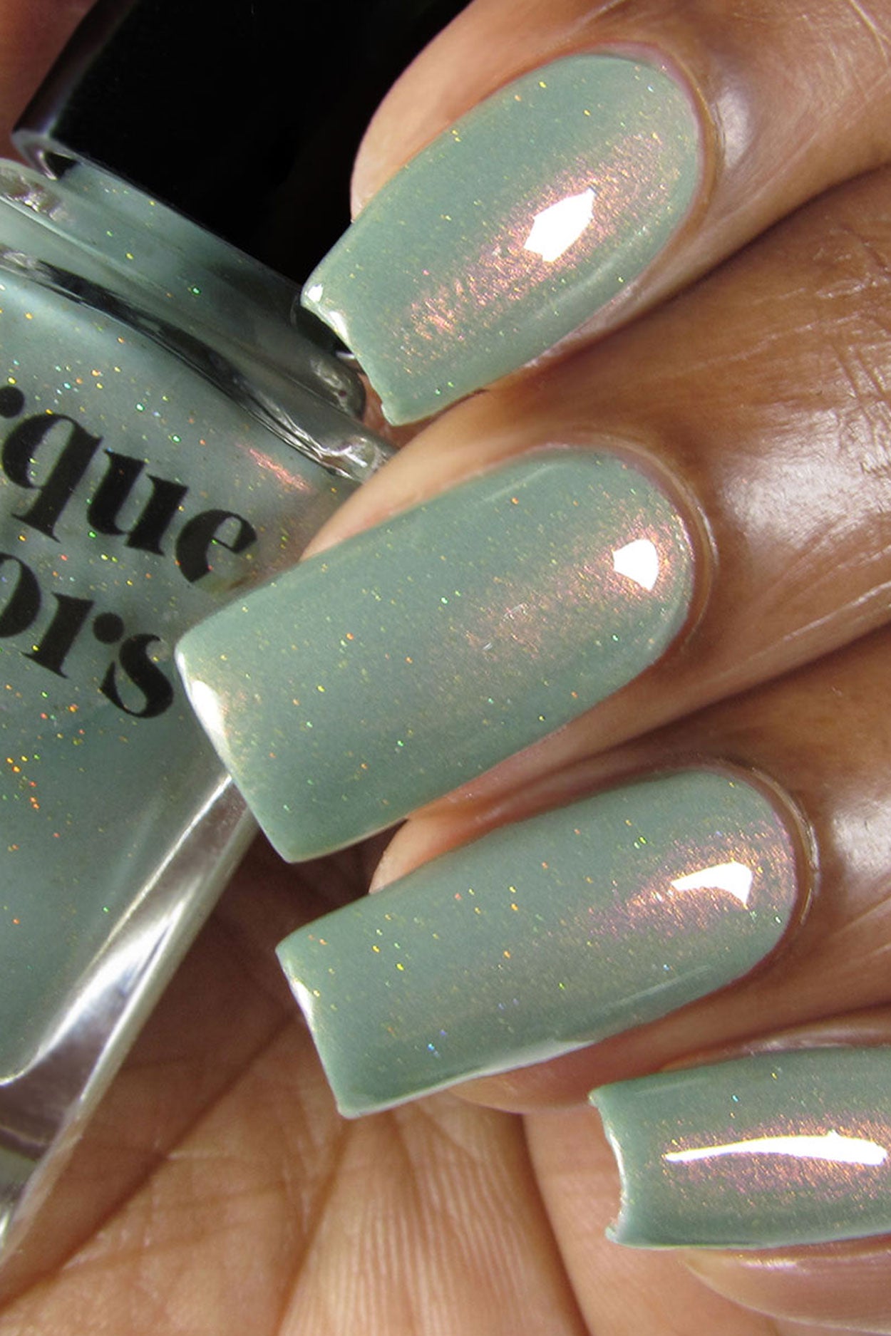 succulent fingernails Succulent Garden