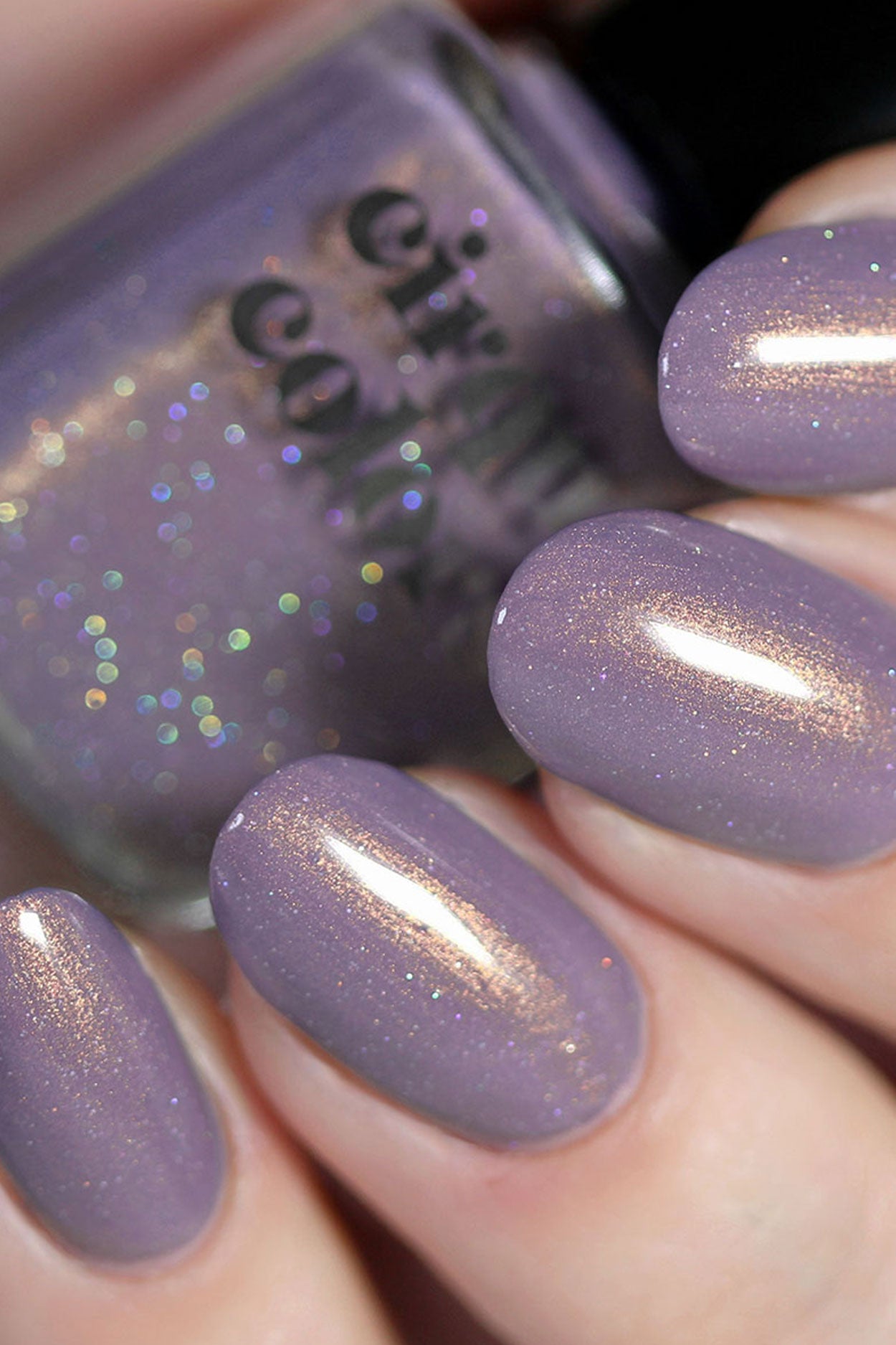 Wildflowers – Cirque Colors
