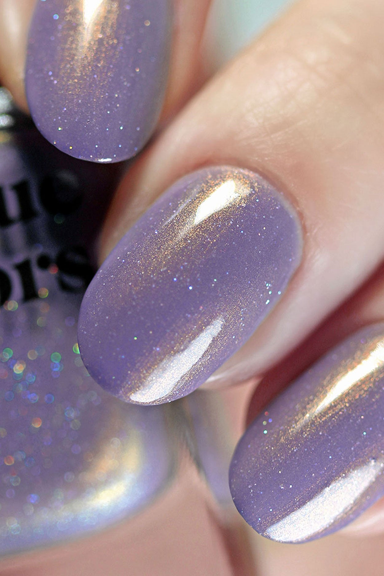 Wildflowers – Cirque Colors